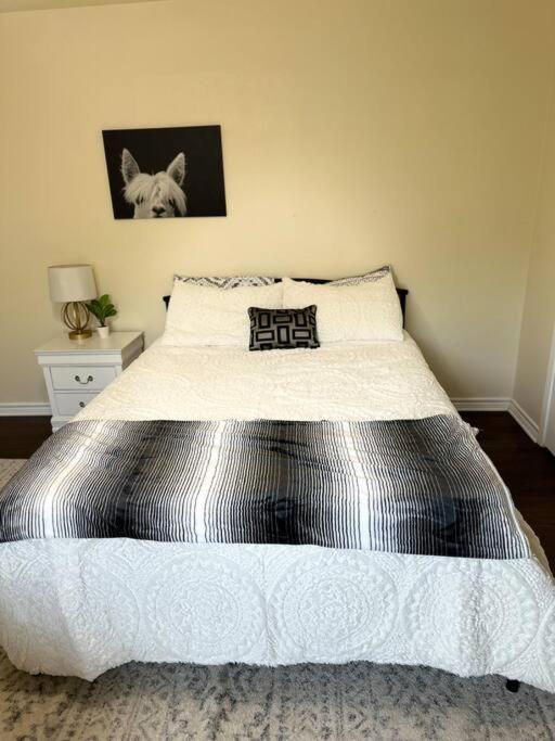 Ferienwohnung Walk To The Alamodome! Sleeps 6, Pet Friendly San Antonio Exterior foto
